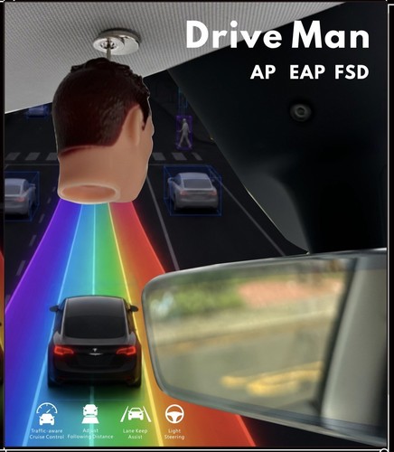 Tesla fsd magnetic mini head - mini,