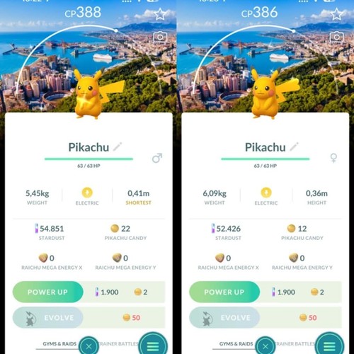 Pokémon shiny pikachu - go✨shiny,