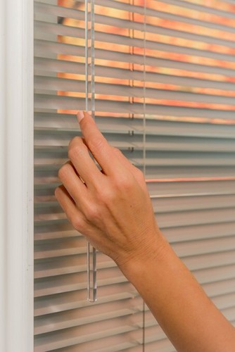 Window mini blinds - blinds,
